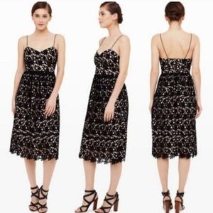 Club Monaco Bolari Dress